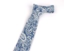 Cravate pour homme T1229 9