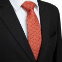 Cravate pour homme T1236 13
