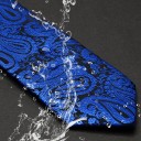 Cravate pour homme T1249 3