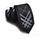 Cravate pour homme T1263 19