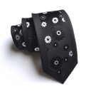 Cravate pour homme T1263 5