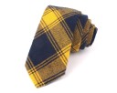Cravate pour homme T1264 9
