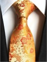 Cravate pour homme T1278 17