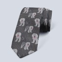 Cravate pour homme T1301 4