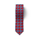 Cravate pour homme T1303 7