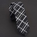 Cravatta da uomo T1249 6