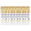 Crème de nuit au collagène Hydratante Éclaircissante Raffermissante Soin de la peau Anti-âge Nutrition et régénération 10 pièces par emballage 1 pièce/4ml 2