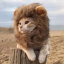 Crinière de lion pour chiens et chats 5