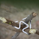 Crochet triangulaire en acier inoxydable pour camping 40 x 42 mm 8 g Crochet léger et résistant pour équipement de tente randonnée extérieur mousqueton accessoires 3