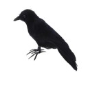 Crow Decoration 3