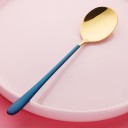 Cucchiaio in acciaio inossidabile con manico colorato 10