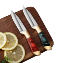 Cuchillo deshuesador para frutas y carnes 16 cm Cuchilla 7,2 cm Cuchillo de corte portátil Mango rojo o verde Cuchillo para BBQ uso exterior 3