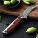 Cuchillo para pelar de acero de Damasco 4