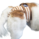 Cuecas de cio para cães riscas Tamanho M Circunferência da cintura 30-35 cm Cuecas higiénicas laváveis Cintura ajustável Respirável confortável 2