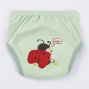 Cuecas de Treino Baby 3