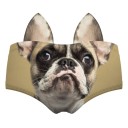 Cuecas femininas com animais A637 14