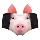 Cuecas femininas com animais A637 6