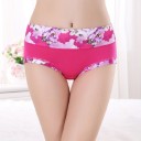 Cuecas femininas com flores J3194 19