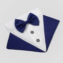 Cuello pajarita C785 5