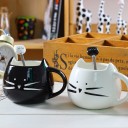 Cuillère à café avec chat 2