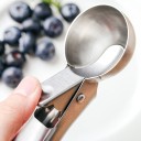 Cuillère à glace C320 5