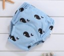 Culottes absorbantes pour bébés 5