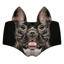 Culottes avec des animaux A637 5