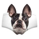 Culottes avec des animaux A637 13