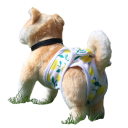 Culottes de chaleur pour chiens avec motif citron Taille S Tour de taille 24-28 cm Culottes de protection Lavables Culottes hygiéniques pour chiennes 3