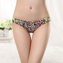 Culottes en dentelle pour femmes J520 14