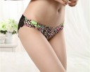 Culottes en dentelle pour femmes J520 15