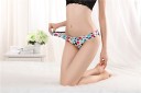 Culottes en dentelle pour femmes J520 23
