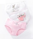 Culottes pour filles avec des animaux - 3 pcs 6