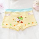 Culottes pour filles avec un petit lapin - 5 pcs 4