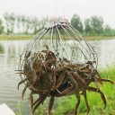 Cușcă de crabi de oțel 52 cm Capcană de crabi robustă din 20 de fire de oțel Construcție metalică durabilă Prinderea eficientă a crabilor Ușor de utilizat atât în apă dulce, cât și în apă sărată 3