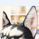 Cuscino in cotone - cane J479 12