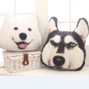 Cuscino per bambini a forma di testa di cane in cotone Stampa realistica di un cane sul lato anteriore Orecchie alzate Dimensioni 38 x 35 cm Per 8