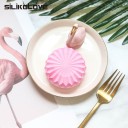 Cutie de tort pentru silicon 2