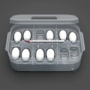 D boîte d'incubation pour œufs de reptiles 2