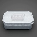 D boîte d'incubation pour œufs de reptiles 4