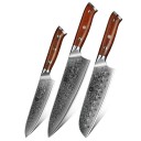 Damascus Steel Knife Set 3 pcs 10
