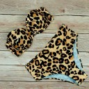 Dambikini P249 5