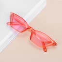 Dame cat eye solbriller 5