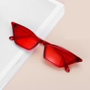 Dame cat eye solbriller 6