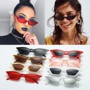 Dame cat eye solbriller 3