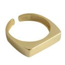 Dame ring D2217 6