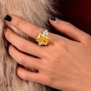 Dame ring D2231 6