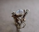 Dame ring D2412 1