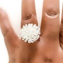 Dame ring D906 4