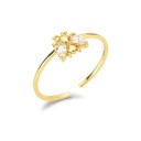 Dame ring D958 21